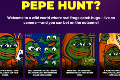 what-we-know-about-pepe-hunt-token